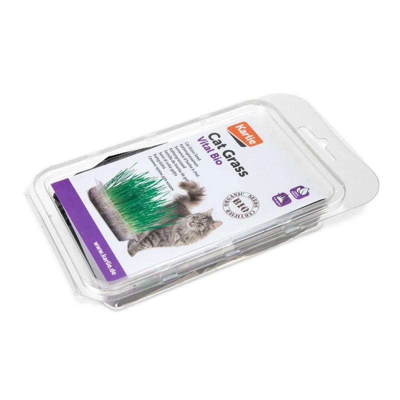 Katzengras Vital Bio