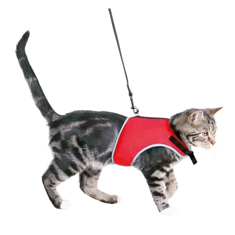 Katzengeschirr mit Leine