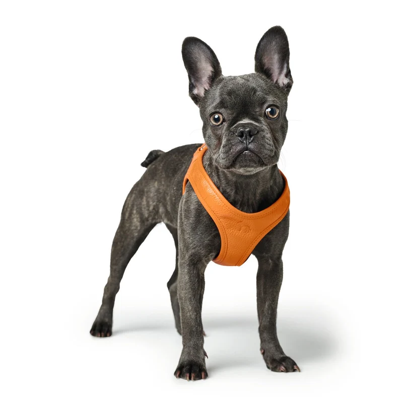Hunter Hundegeschirr Hilo