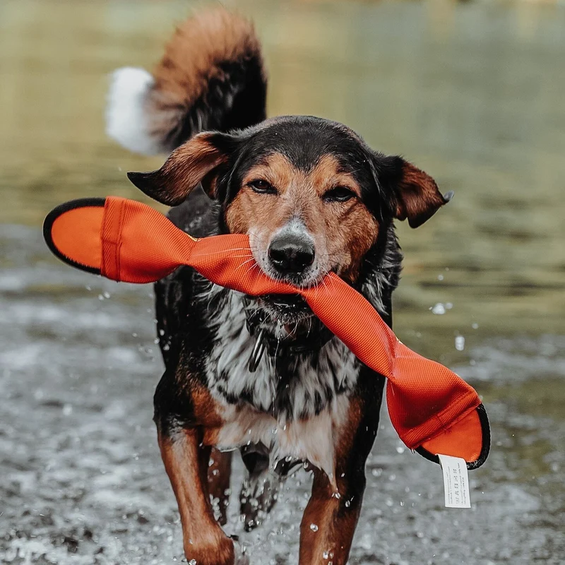 Hunter Hundespielzeug Aqua Mindelo