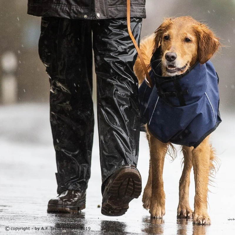 fit4dogs Active Cape Wind & Rain Mini
