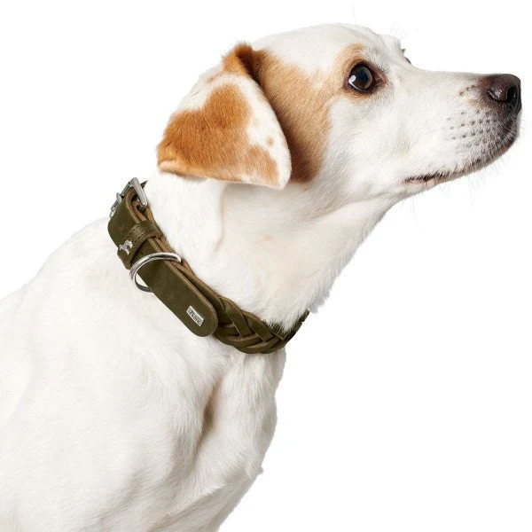 Hunter Halsband Solid Education Special
