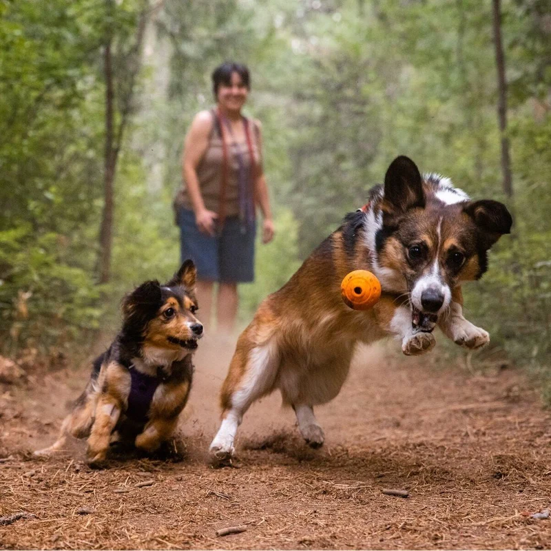 Ruffwear Hundespielzeug Turnup™ Ball für Hunde