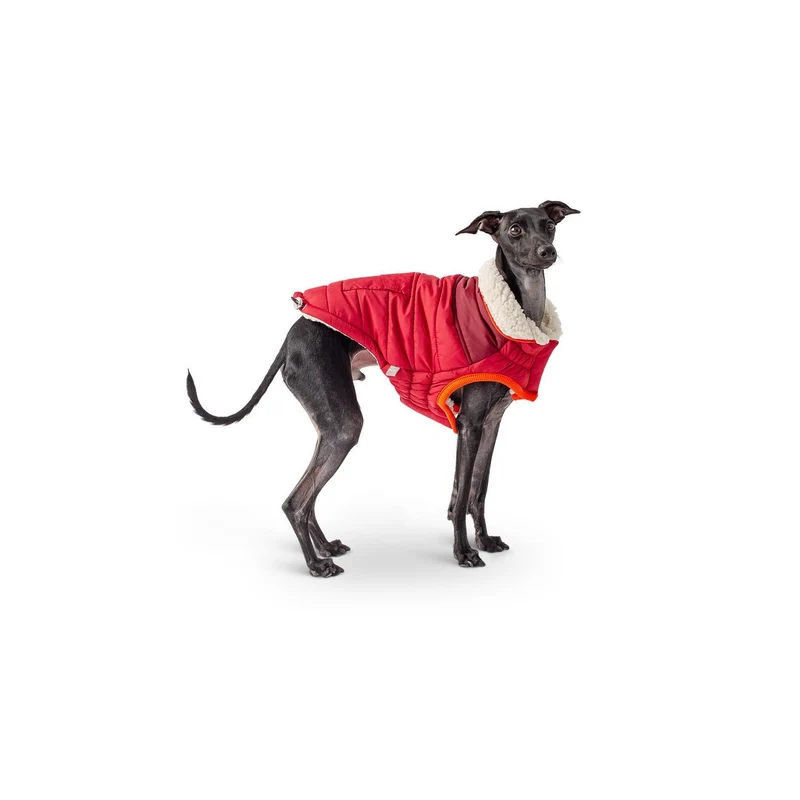 GF Pet Scout Jacke für Hunde