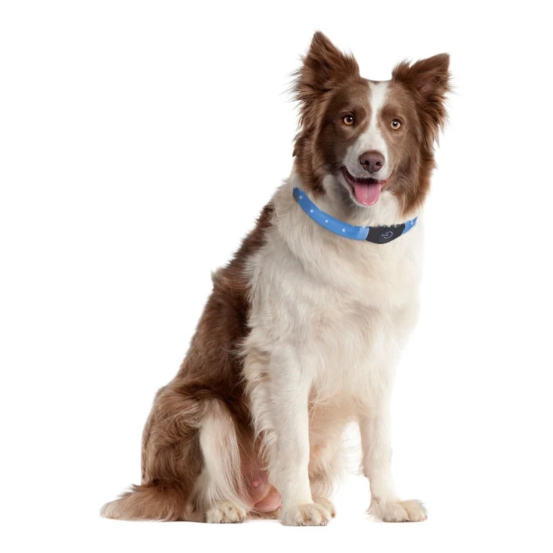 Visio Light Leuchthalsband LED für Hunde mit Langhaar
