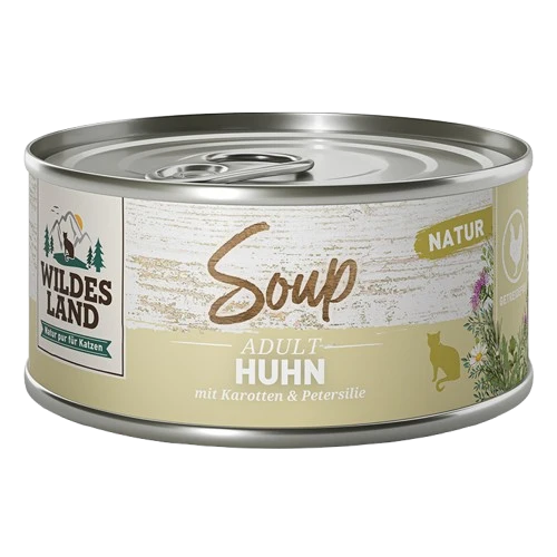 Wildes Land Soup Huhn mit Karotten