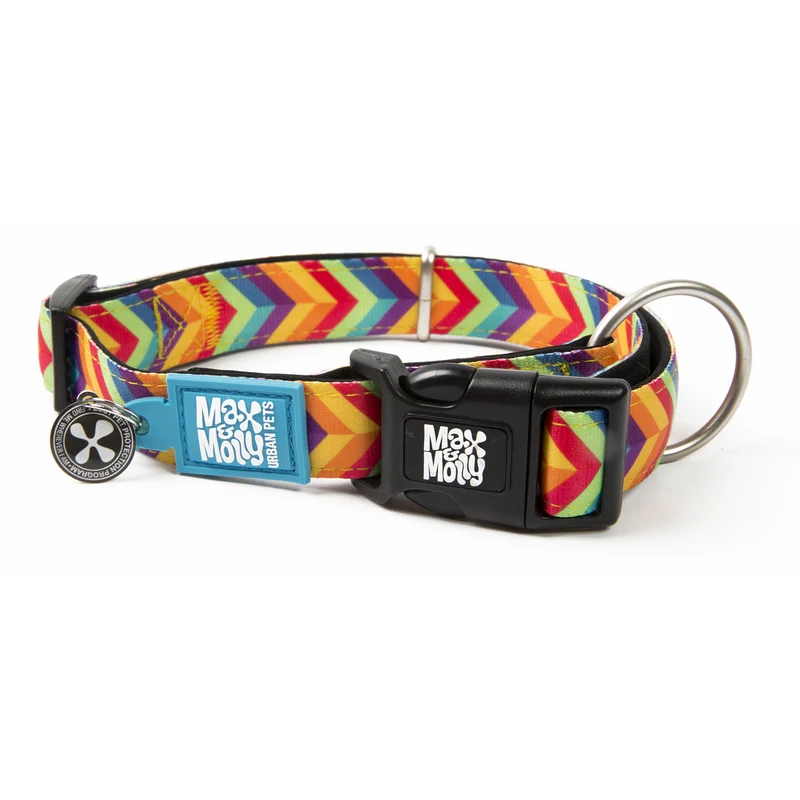Max & Molly Smart ID Hundehalsband Summertime