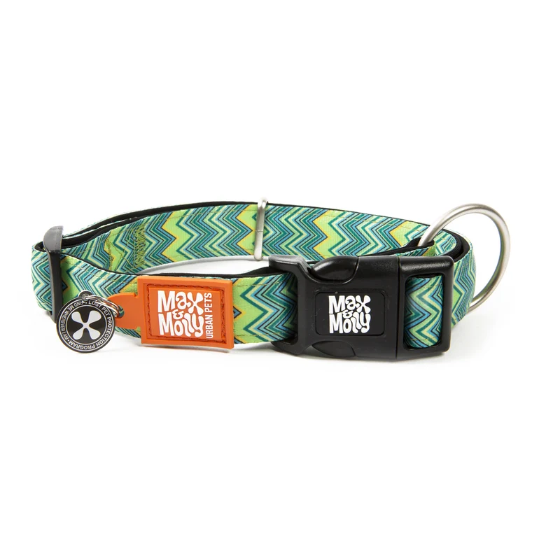 Max & Molly Smart ID Hundehalsband Vintage