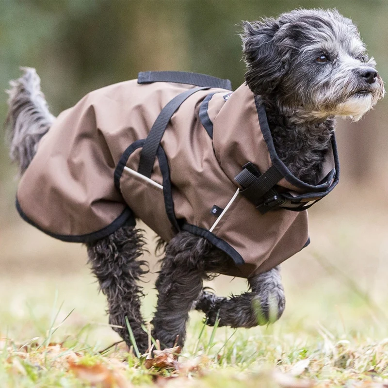 fit4dogs Active Cape Light MINI Hundemantel