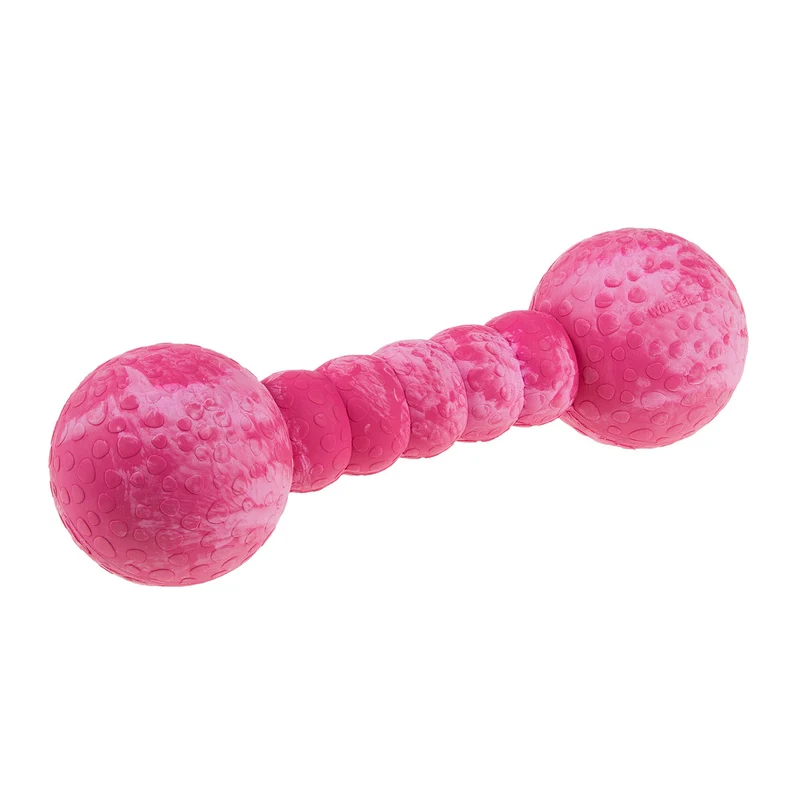 Wolters Aqua-Fun Gym Hundespielzeug