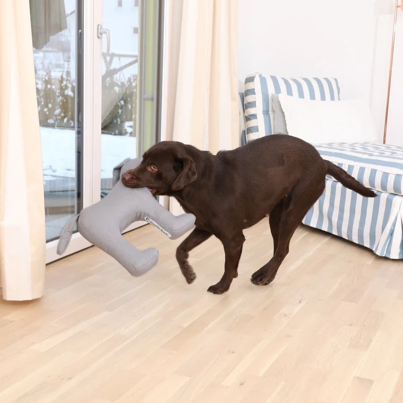 Doctor Bark Toy Dog - Hundespielzeug