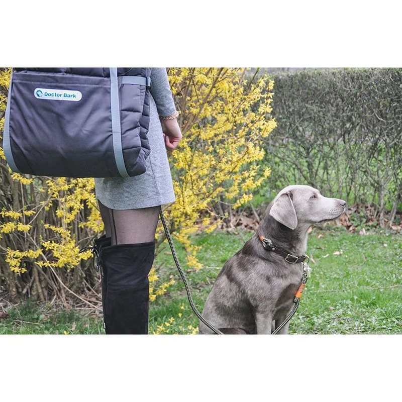 Doctor Bark Reisedecke, TravelBag