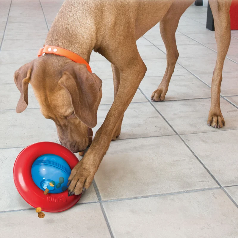 KONG Gyro Hundespielzeug Snackspielzeug
