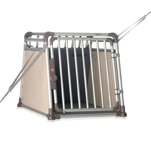 4pets Strap Fix Spann-Gurt für Dog Box