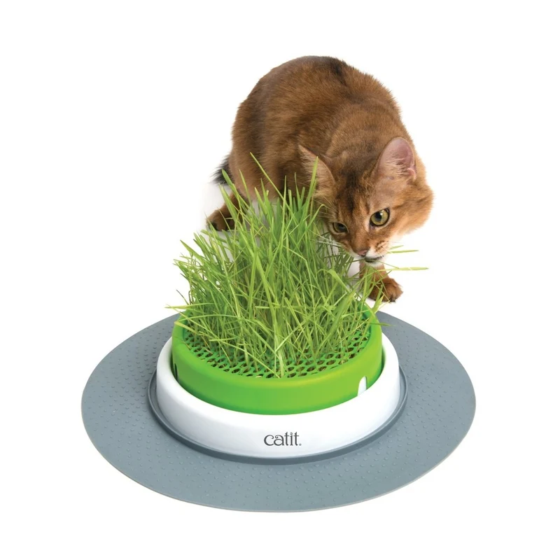 catit Senses 2.0 Grastopf Grass Planter