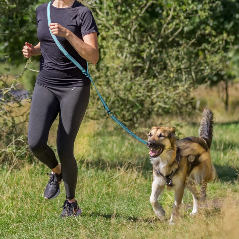 Trixie Hunde Joggingleine mit Ruckdämpfer