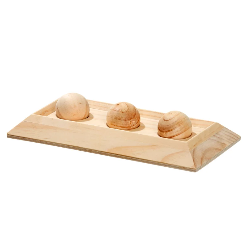 Rody Brain Train Board Intelligenzspielzeug Kleintiere
