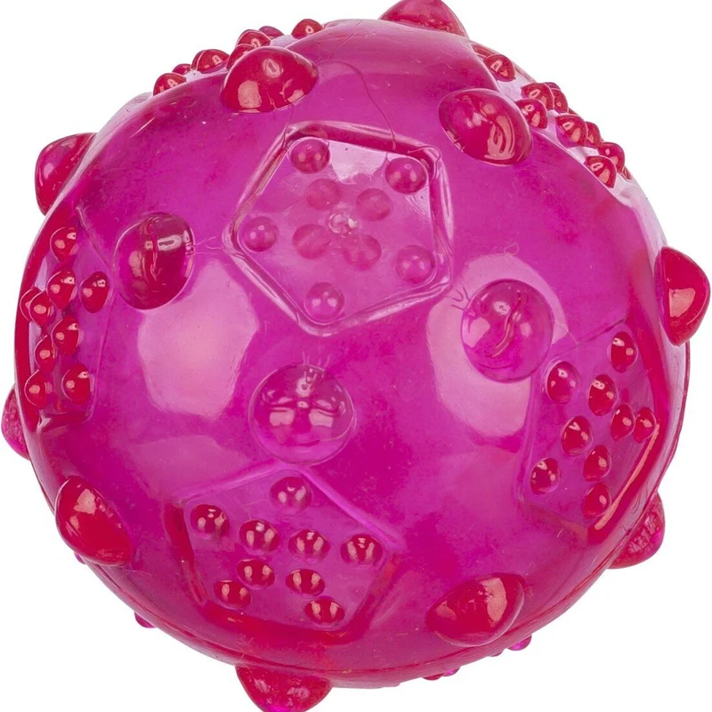 Hunde Gummi Ball TPR