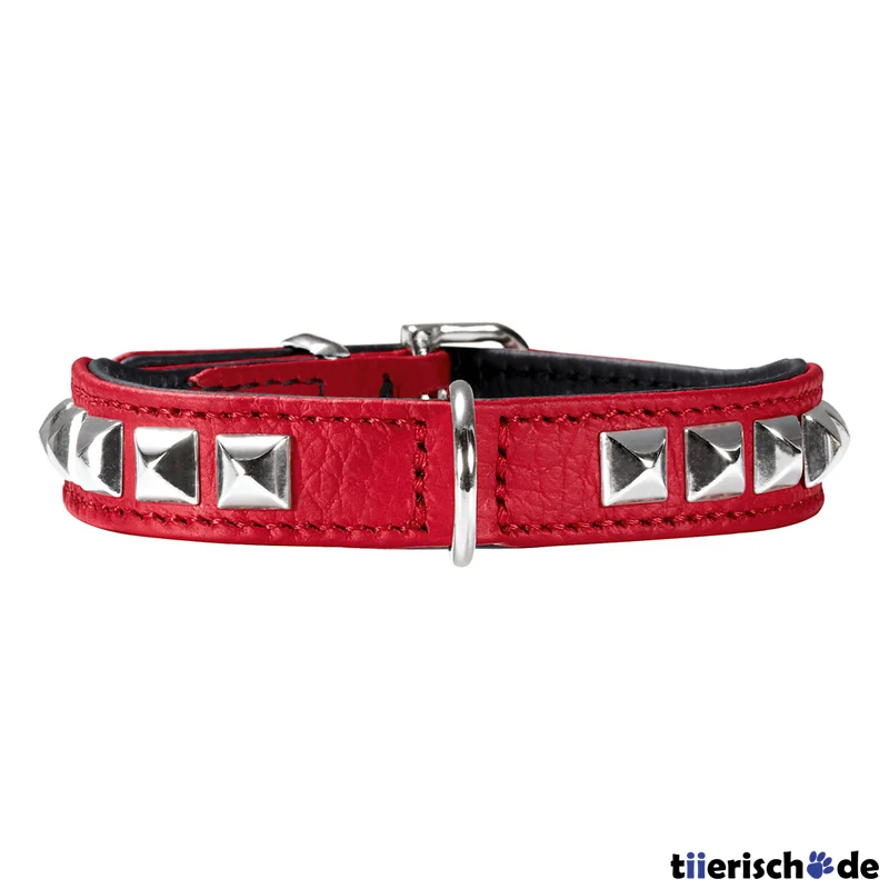 Halsband Rocky Petit für kleine Hunde