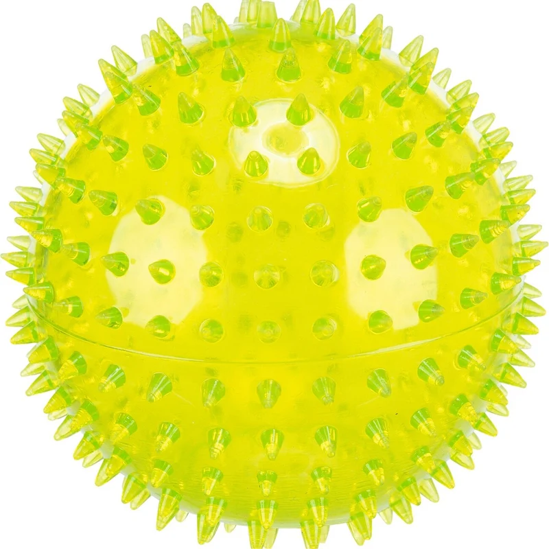 Igelball schwimmendes Hundespielzeug