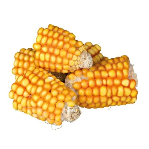 Natur-Snack Maiskolbenstücke