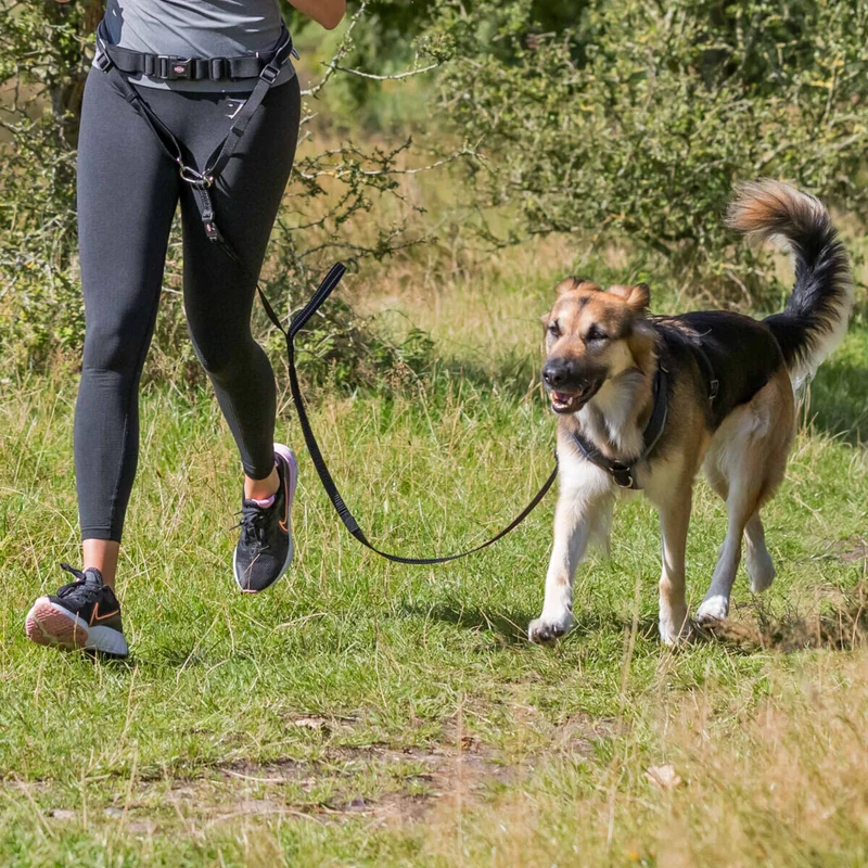 Joggingleine, Bauchgurt mit Hundeleine für mittelgroße und große Hunde