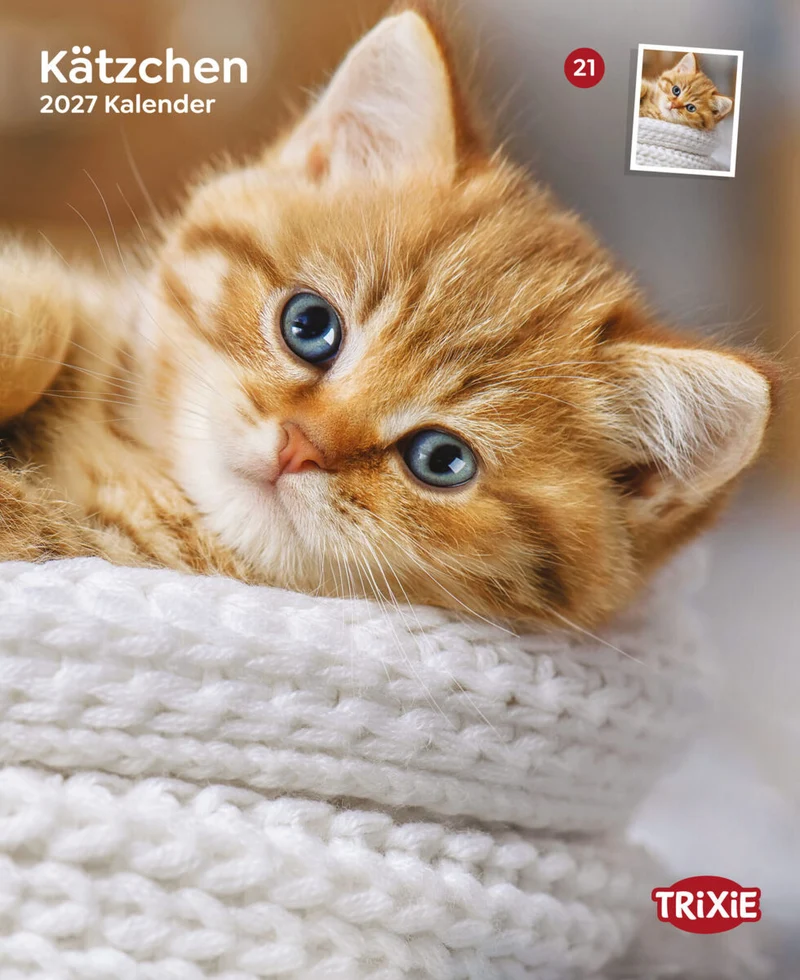 2027 Kalender Kätzchen