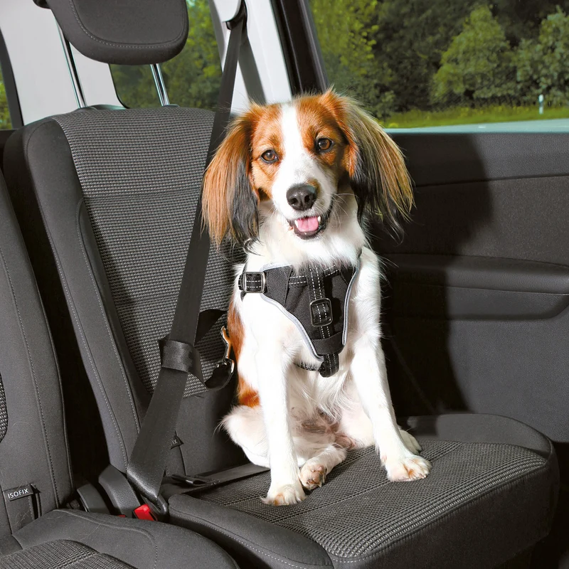 Auto Hundegeschirr Dog Protect