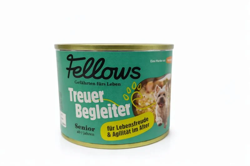 Fellows Treuer Begleiter