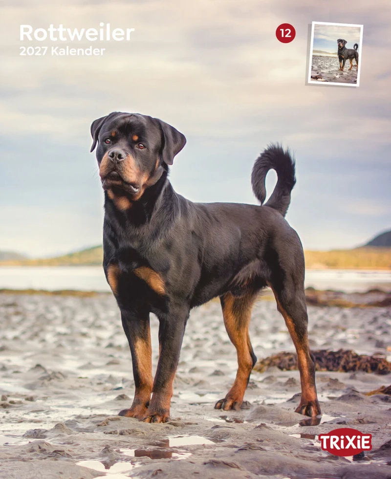 2027 Kalender Rottweiler