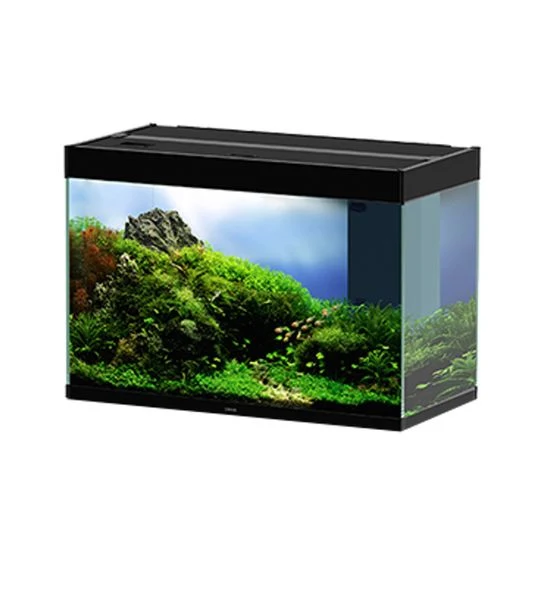 Ciano Emotions Nature Pro 80 Glass Aquarium 145L With LED, Pump, Filter, & Heater