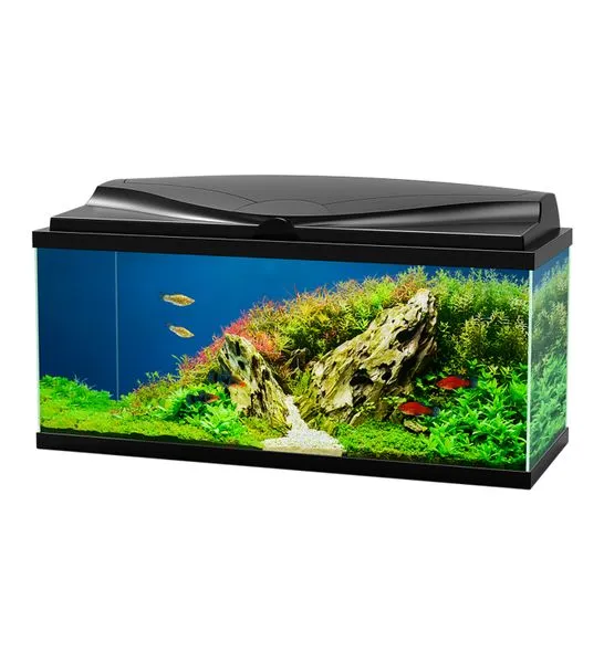 Ciano Aqua 80 Glass Aquarium 71L With LED, Heater & Filter