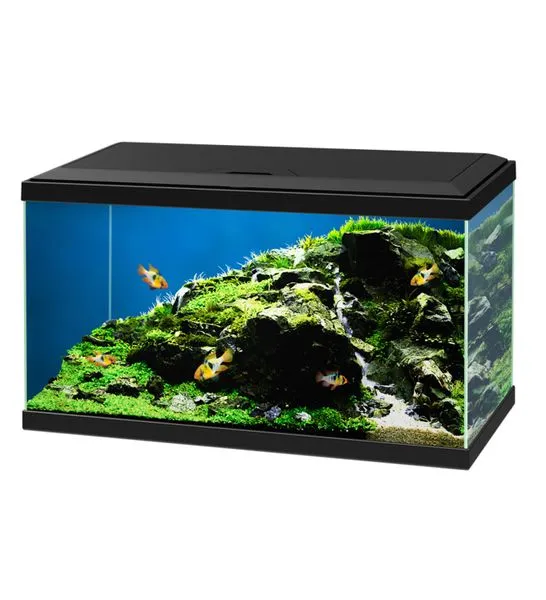 Ciano Aqua 60 Glass Aquarium 58L With LED, Heater & Filter