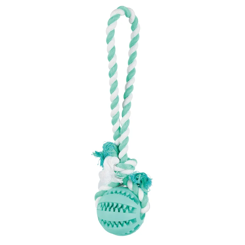 DENTAfun Ball am Tau