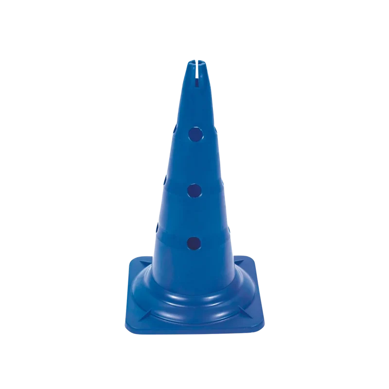 Agility Pylone