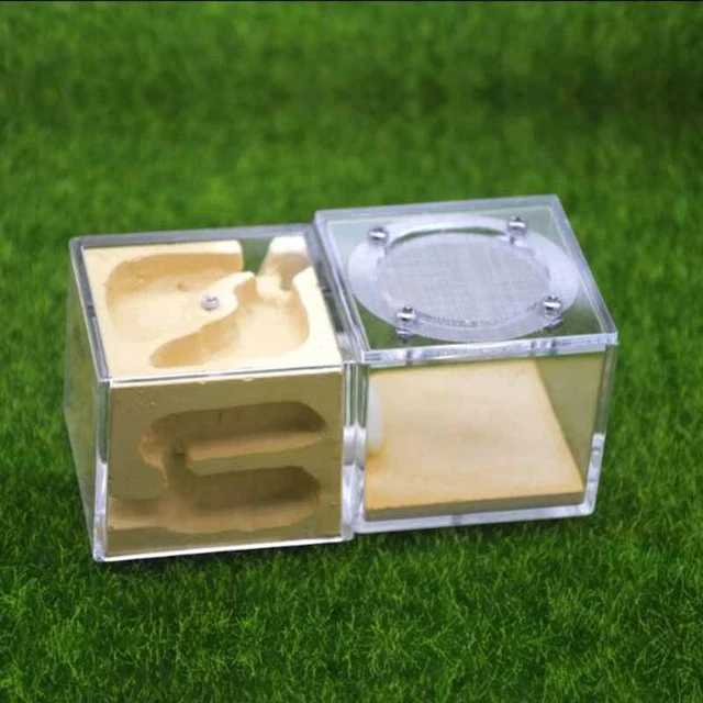 Acrylic Gypsum Nest Stereo Ants Farm