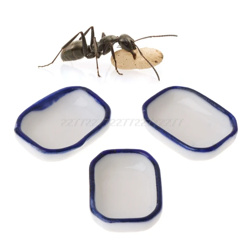 3pcs Ant Farm Feeder