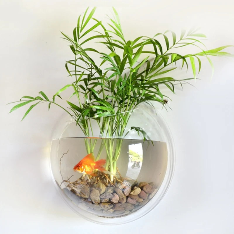 Hanging Wall Mounted Fish Bowl
