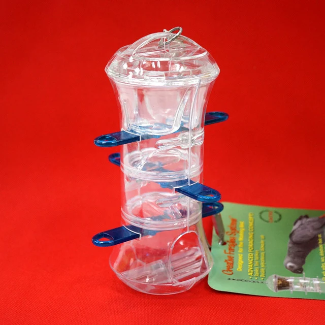 Parrot Push and Pull Interactive toy