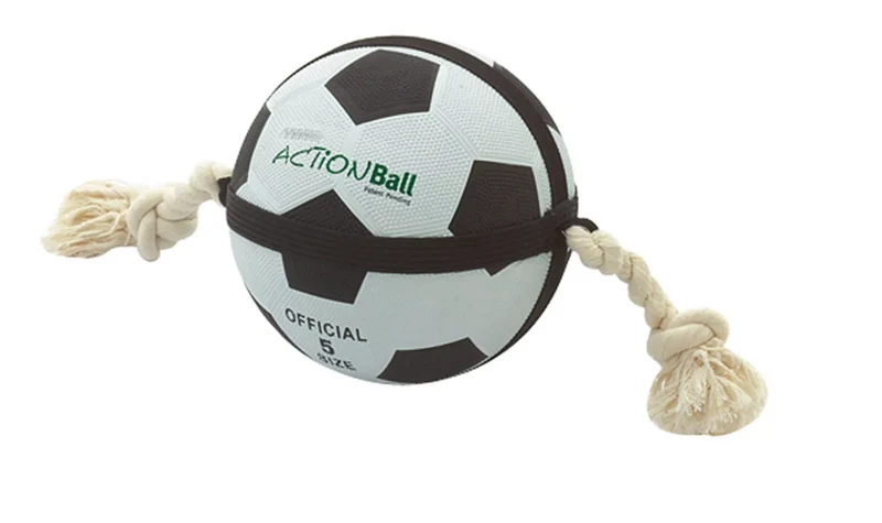 Hunde-Fußball mit Greifseilen