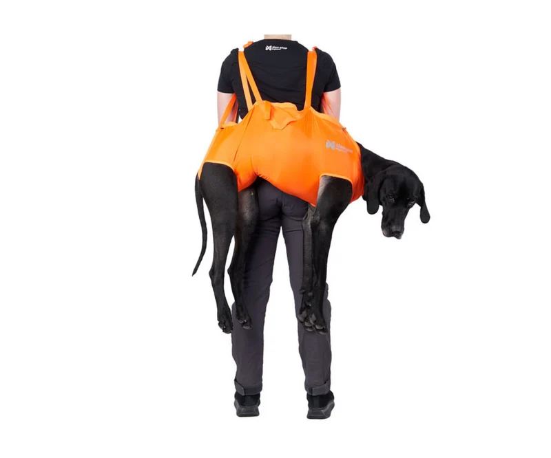 Non-stop Dog rescue sling