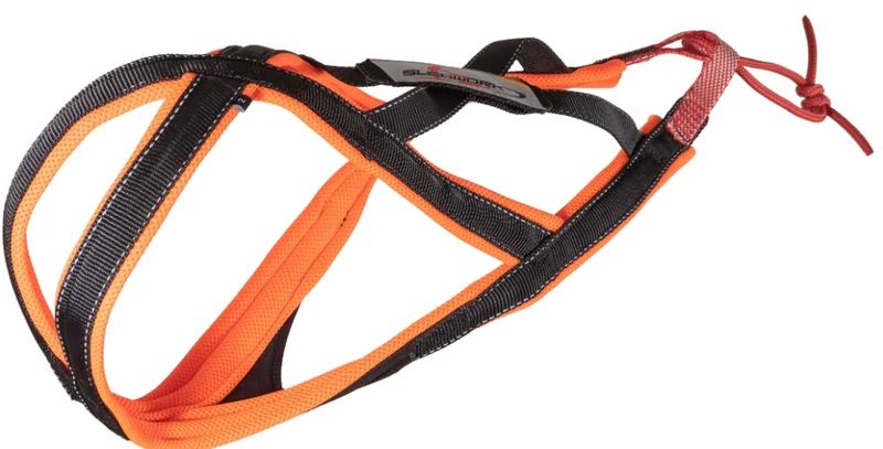 Sledwork Xback Active G2