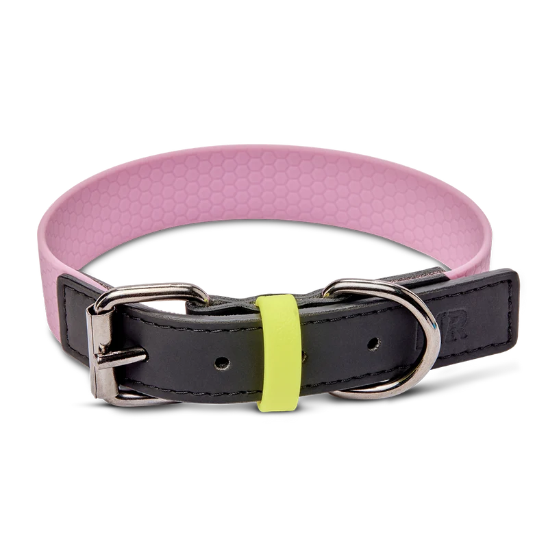 Hundehalsband mit veganem Apfelleder Altrosa