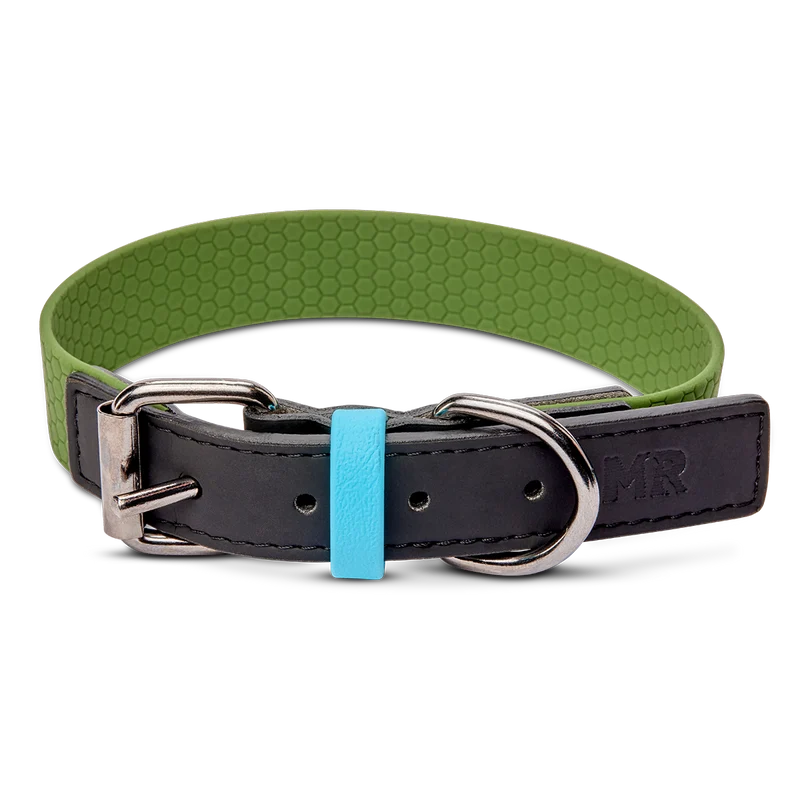 Hundehalsband mit veganem Apfelleder Khaki