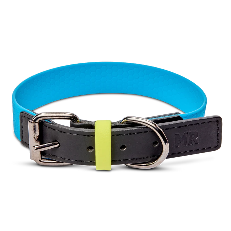 Hundehalsband mit veganem Apfelleder Cyanblau