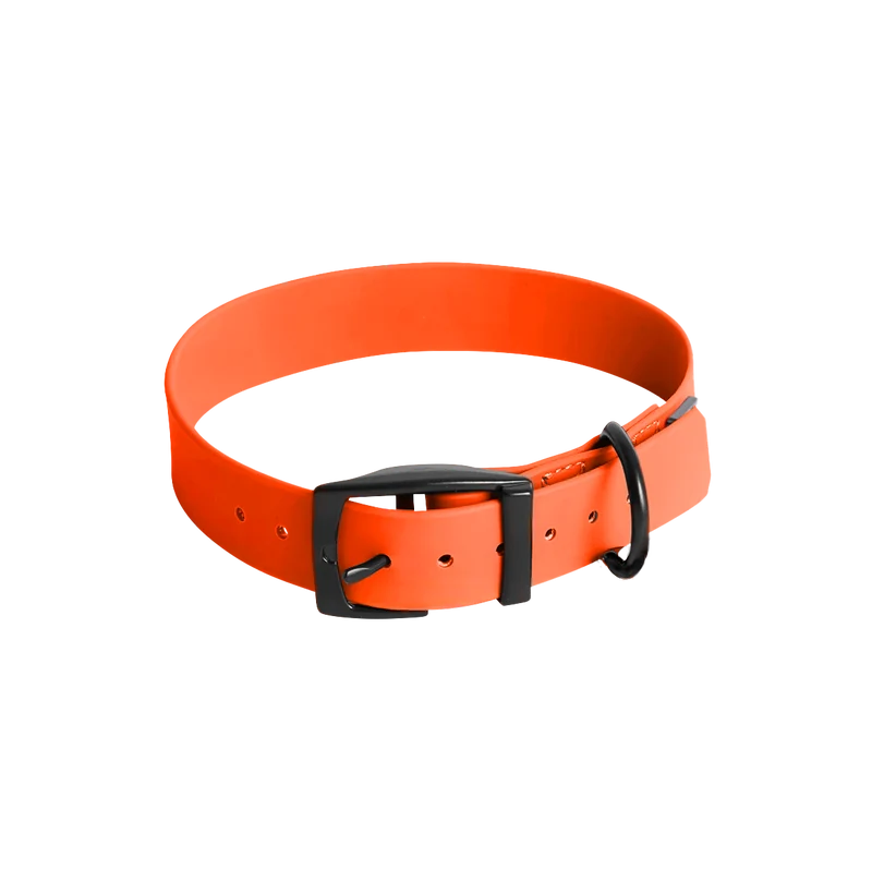 Hundehalsband SoftVinyl Neonorange
