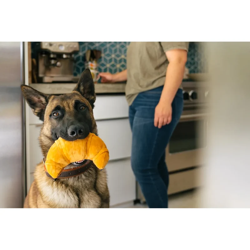 Barking Brunch Croissant