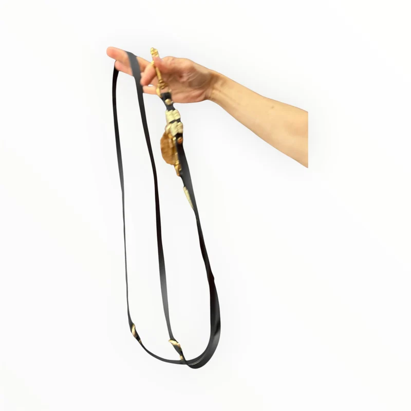 Leine Biothane mit Parachute Cord