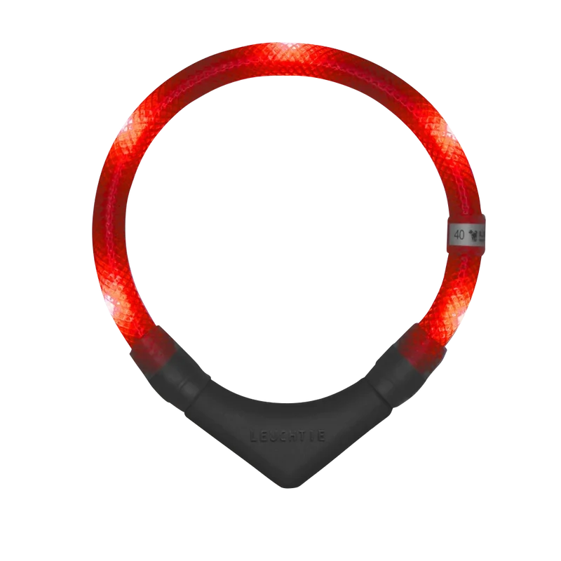 Hundehalsband Leuchtie® Plus Rot