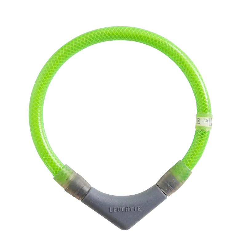 Hundehalsband Leuchtie® Plus Neongrün